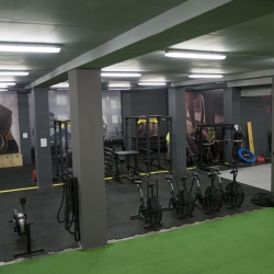 pro workout gym budovatelska presov efitko