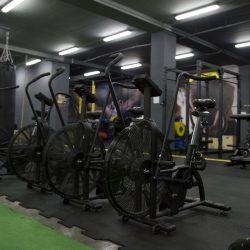 pro workout gym budovatelska presov efitko