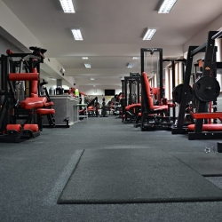 Excalibur gym and Fitness m v miskovskeho 3 poprad fitnescentrum na e-fitko.sk