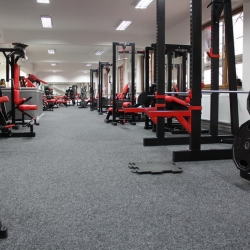 Excalibur gym and Fitness m v miskovskeho 3 poprad fitnescentrum na e-fitko.sk