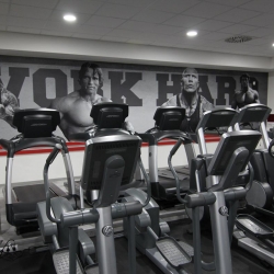 royal fitness vladimira clementisa 49 trnava fitnescentrum na e-fitko.sk