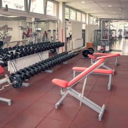 fitness centrum amadeus stvrt snp 124 trencianske teplice fitnescentrum na e-fitko.sk
