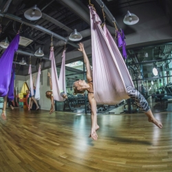 hamilton fitnessclub stare grunty 24 bratislava fitnescentrum na e-fitko.sk