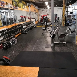 jungle gym 1 maja 57 liptovsky mikulas fitnescentrum na e-fitko.sk