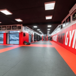 spartakus fight gym halenarska 415 trnava na e-fitko.sk