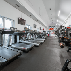 spartakus fight gym halenarska 415 trnava na e-fitko.sk